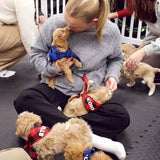 VAUGHAN SCHEDULE | Puppy Yoga & Sweet Treats