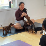 TORONTO SCHEDULE | Puppy Yoga & Sweet Treats