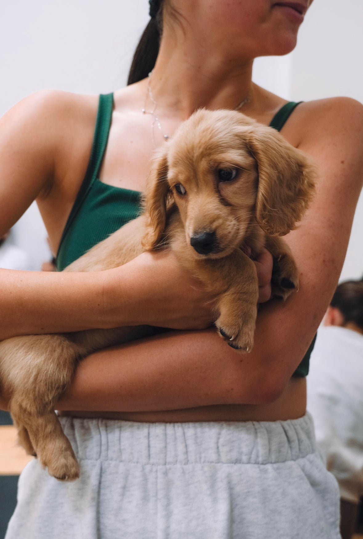 Responsible puppy socializing