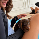 VAUGHAN SCHEDULE | Puppy Yoga & Sweet Treats