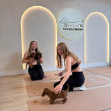 TORONTO SCHEDULE | Dachshund Puppy Yoga