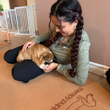 AJAX SCHEDULE | Puppy Yoga