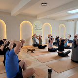 Puppy yoga class in the Therapy Puppy Studio — Therapy Pass monthly membership