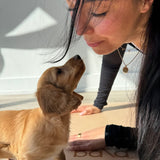 VAUGHAN SCHEDULE | Puppy Yoga & Sweet Treats