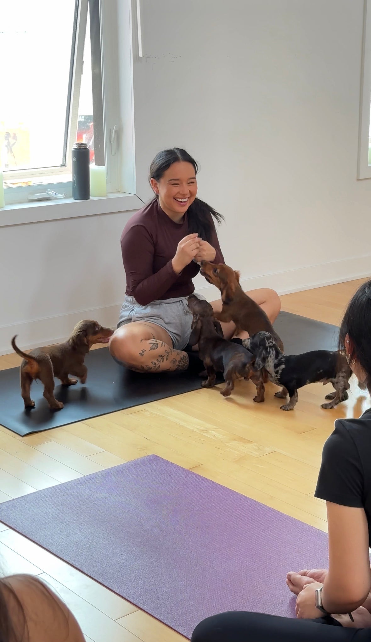 Puppy Yoga & Sweet Treats