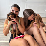 VAUGHAN SCHEDULE | Puppy Yoga & Sweet Treats