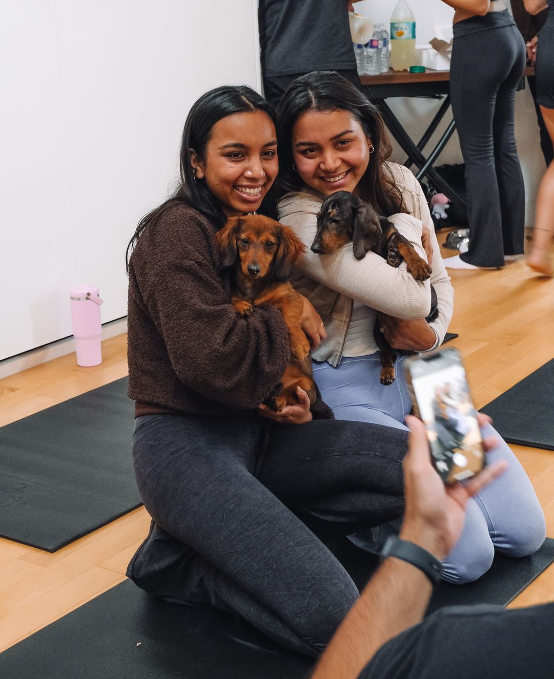 Puppy Yoga & Sweet Treats