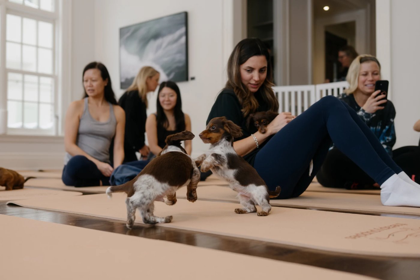 Dachshund puppies mingling between colleagues at a holiday event